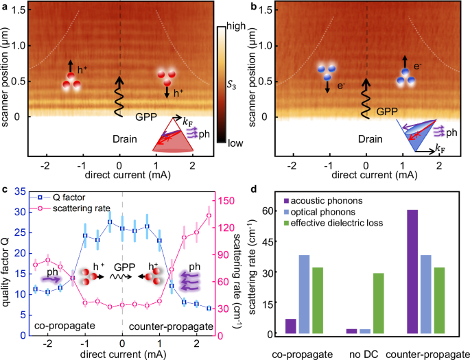 Fig. 3: Asymmetric damping of graphene plasmon polaritons (GPP).