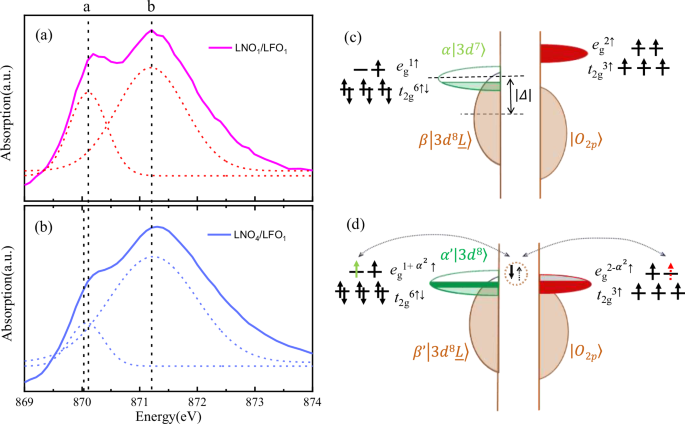 Fig. 4: Charge transfer at the LNOn/LFO1 SL and a schematic representation of the covalent ferromagnetism in the LNO1/LFO1 SL.