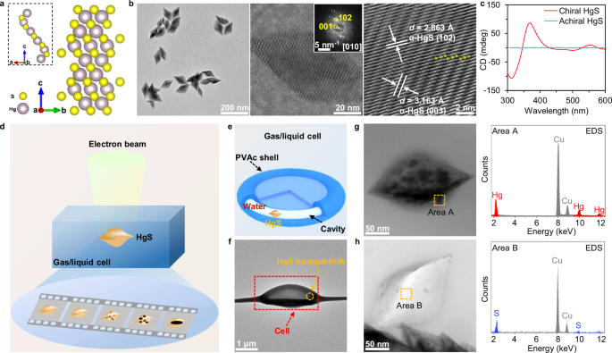 Fig. 1: Structural characterization of HgS for in-situ gas/liquid cell TEM.