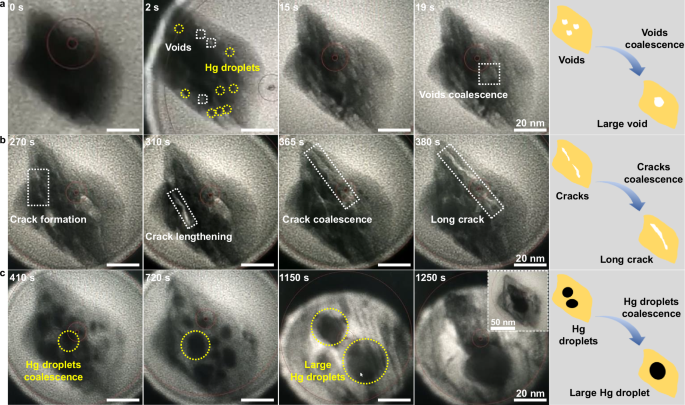 Fig. 2: Structural evolution of the voids and Hg nanodroplets in the gas cell.