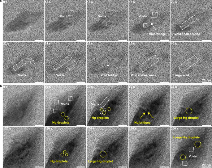 Fig. 4: High-resolution observations of the formation and coalescence behaviors of the voids and Hg nanodroplets.