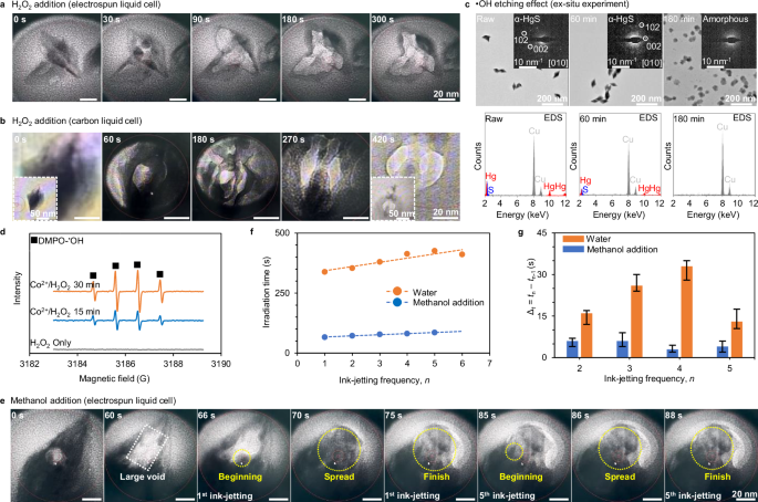 Fig. 6: Liquid environments with addition of reductive/oxidative scavengers.