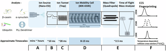 Fig. 1: Schematic workflow of VT-IM-MS experiments and the approximate time spent by ions in each stage in our instrument for the four analytes under investigation.