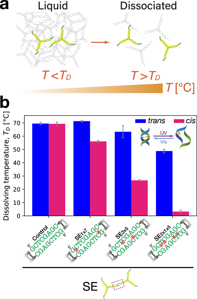 Fig. 3: Experimental evaluation of SEs’ binding strength.