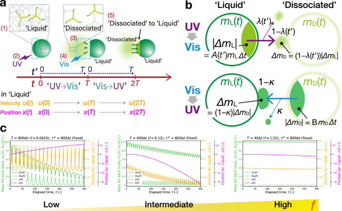 Fig. 8: Numerical simulations of the directional motion.