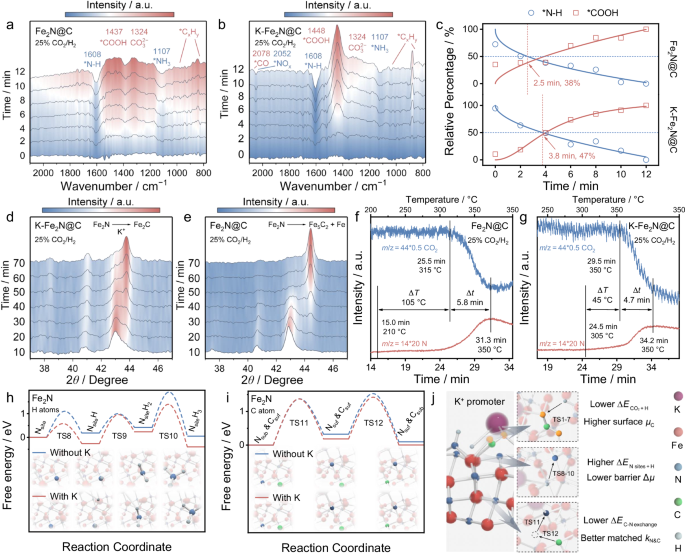 Fig. 3: Mechanistic studies.
