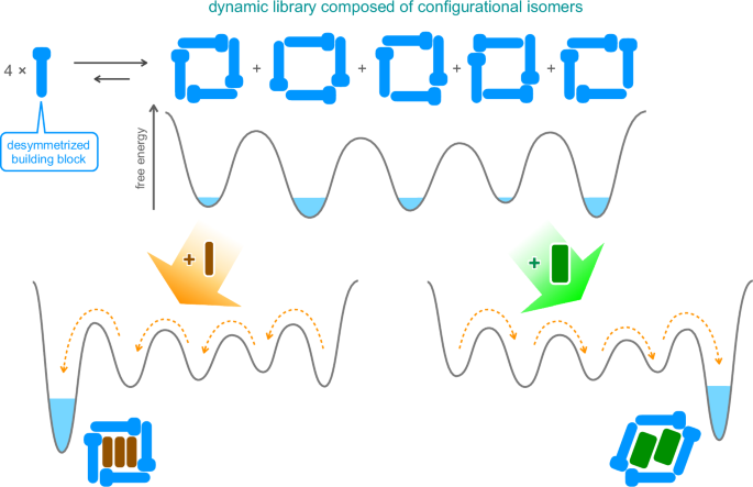 Fig. 1: Schematic representation of multivariant optimization in a dynamic library composed of configurational isomers.