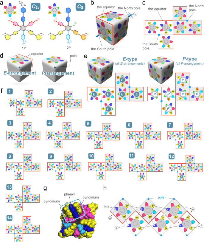 Fig. 2: Self-assembly of cube-shaped assembly (nanocube) from gear-shaped amphiphiles (GSAs).