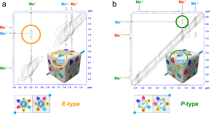 Fig. 4: 1H−1H NOE spectra of E- and P-type nanocubes (500 MHz, 298 K, upfield region).