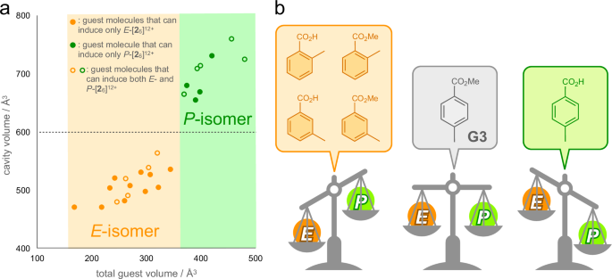 Fig. 6: Relationship between the cavity volume and shape of the E- and P-nanocube and guest molecules.