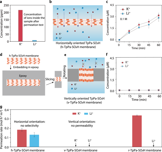 Fig. 3: Narrow channel induced by random orientation is crucial for the high selectivity.