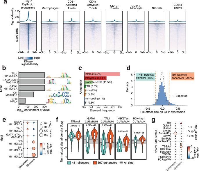 Fig. 2: Massively parallel screening and selection of candidate enhancer elements.