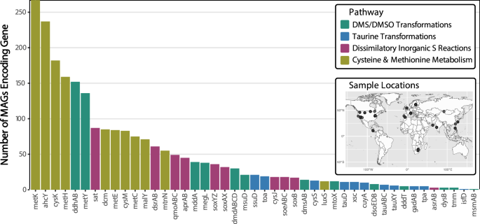 Fig. 4: Global relevance of organosulfur cycling.
