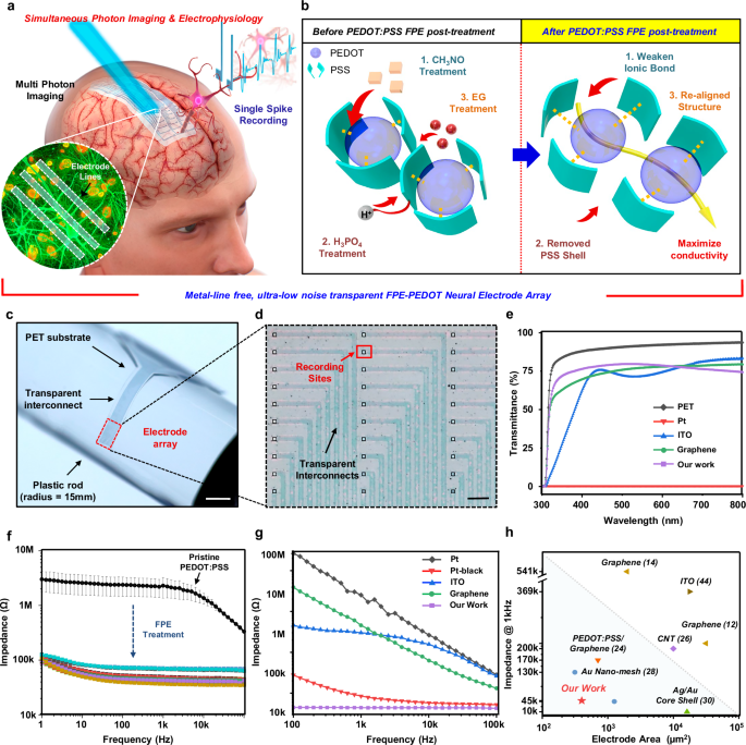 Fig. 1: Analysis and Performance Evaluation of FPE-treated PEDOT Neural Electrode Array.