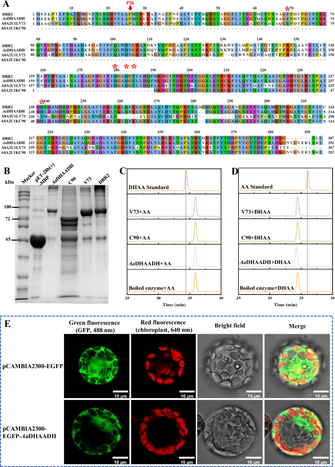 Fig. 3: Screening and functional characterization of candidate enzymes.
