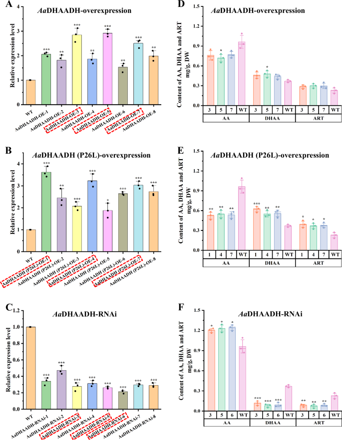 Fig. 5: Relative expression of AaDHAADH and production of AA, DHAA and ART in transgenic A. annua cells.