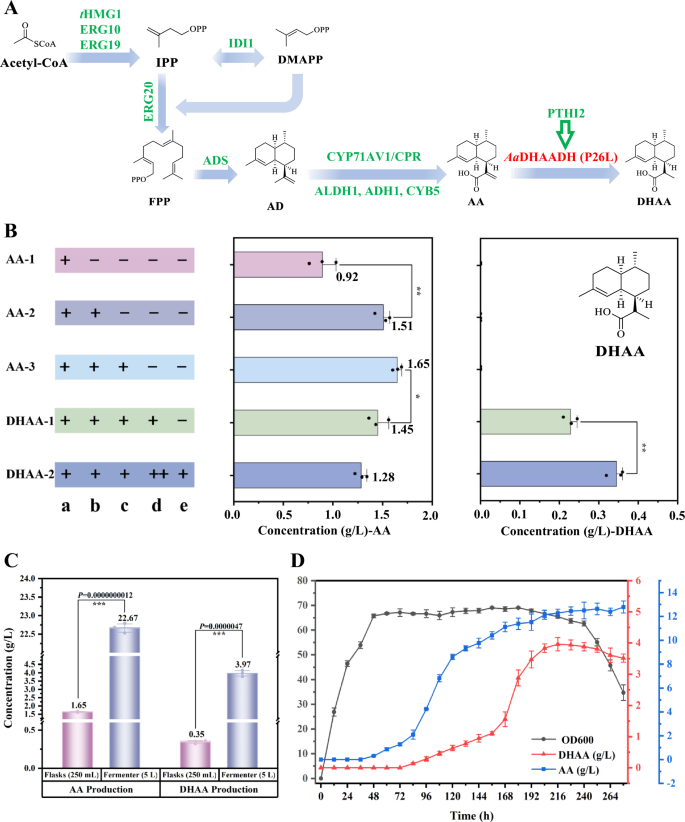 Fig. 6: Metabolic engineering of DHAA in S. cerevisiae.
