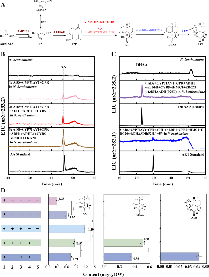 Fig. 7: Reconstruction ART biosynthesis in N. benthamiana.