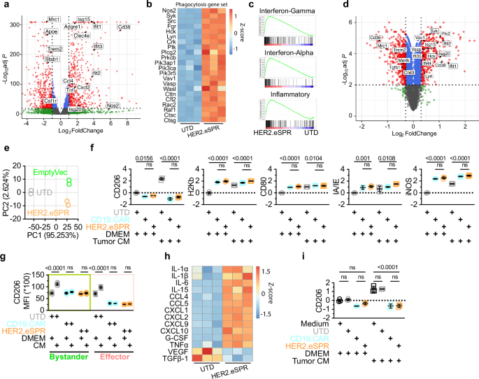 Fig. 3: eSPR macrophages are inherently pro-inflammatory.