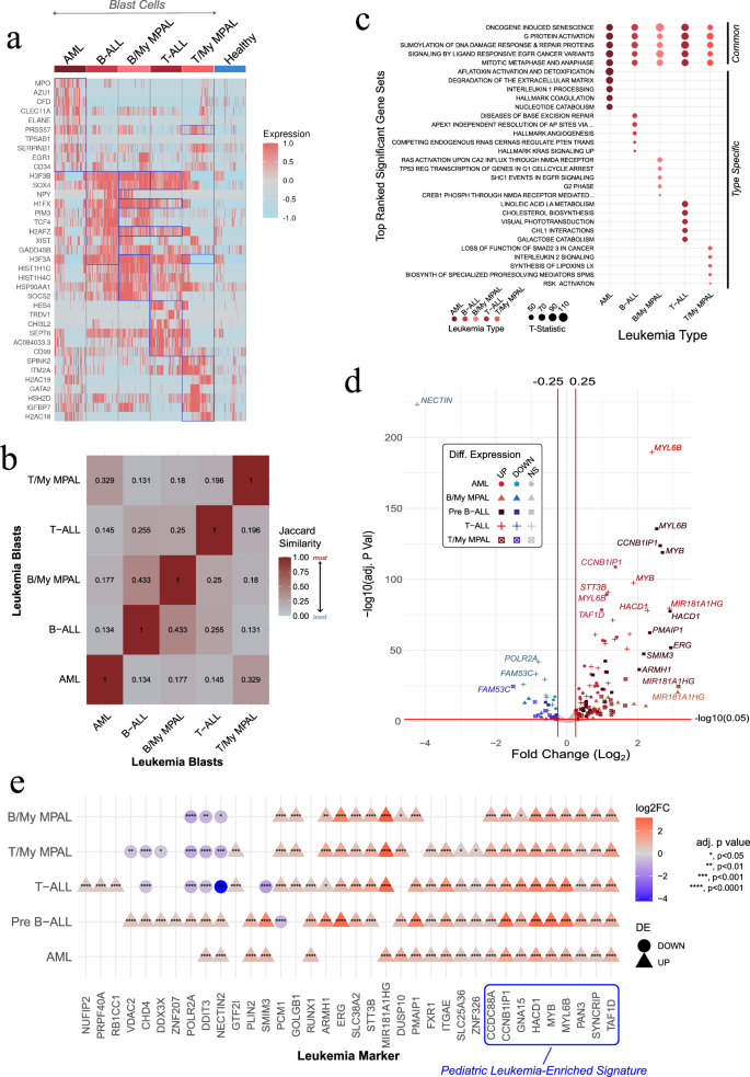 Fig. 2: Identification of pediatric leukemia-enriched signature and gene sets.