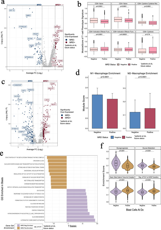 Fig. 5: Heterogeneity in leukemia patient single cell landscape at diagnosis based on MRD outcomes.