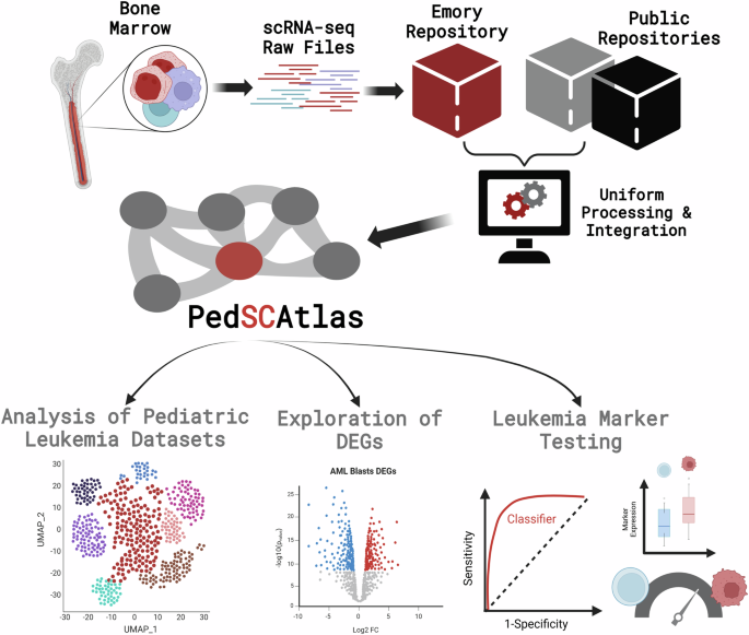 Fig. 6: An overview of the PedSCAtlas resource showing datasets and analytical tools.