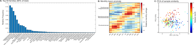 Fig. 2: Dominance and seasonal dynamics of key lineages.