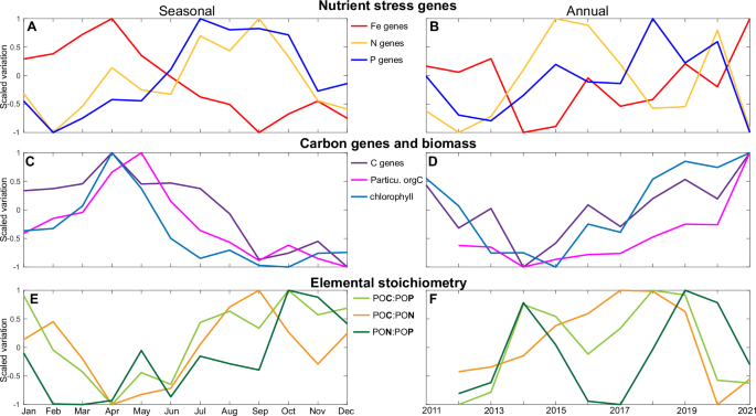 Fig. 5: Succession of biogeochemically important community aggregated traits at seasonal and interannual time-scale.