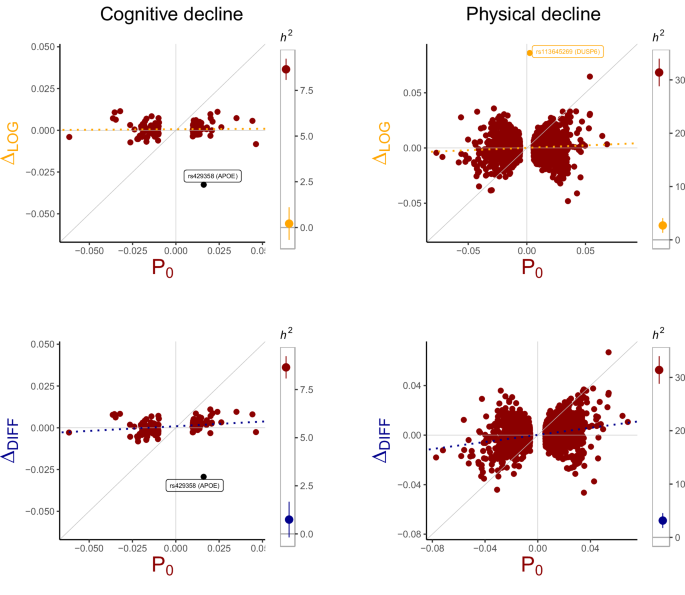 Fig. 4: Cross-sectional and longitudinal genetic effects on physical and cognitive function.