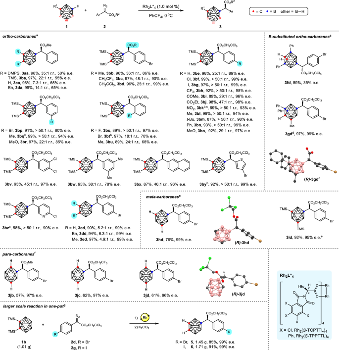 Fig. 2: Substrate scope.