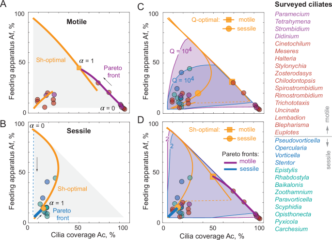 Fig. 5: Optimal designs explain the diversity of cilia arrangements in sessile and swimming ciliates.