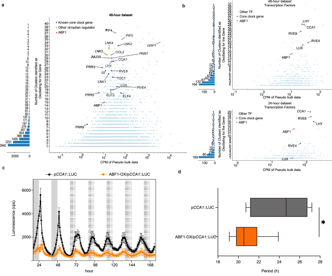 Fig. 5: Identification of a circadian regulator.
