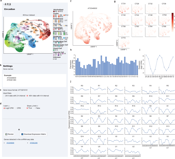 Fig. 6: Interactive web portal for exploring the snRNA-seq dataset.