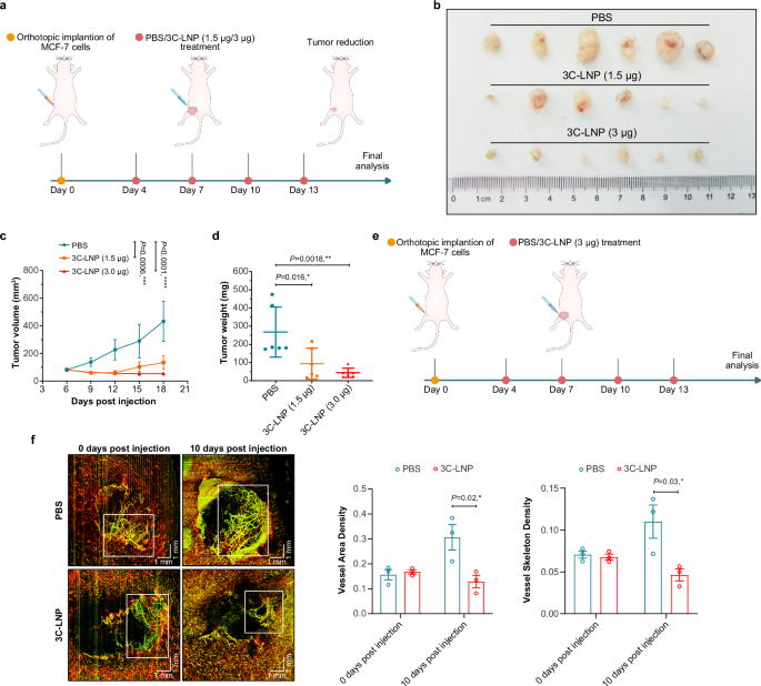 Fig. 4: Tumor suppression by 3C-LNPs in a breast tumor model.