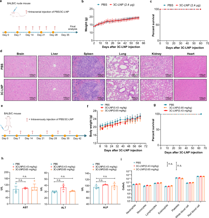 Fig. 6: Safety evaluation of 3C-LNPs.