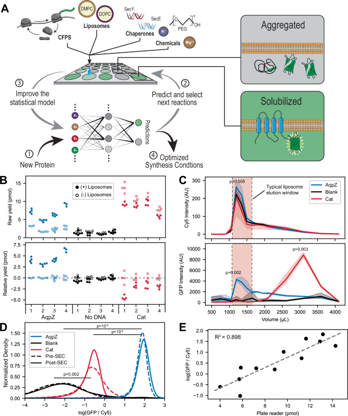 Fig. 1: Established MEMPLEX (Membrane Protein Learning and Expression) to design artificial environments for membrane protein synthesis.
