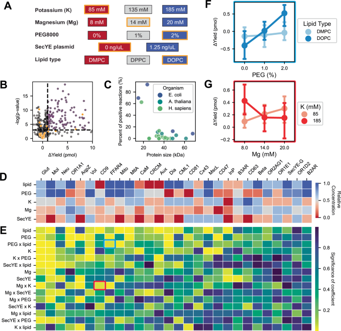Fig. 2: Chemical, lipid, and protein factors interact to determine optimal artificial synthesis environments of membrane proteins.