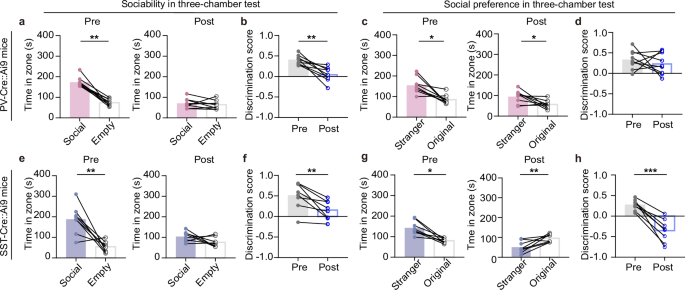 Fig. 8: Knockout of Kcnh7 by CRISPR-Cas9 in PV and SST interneurons impairs social interaction.