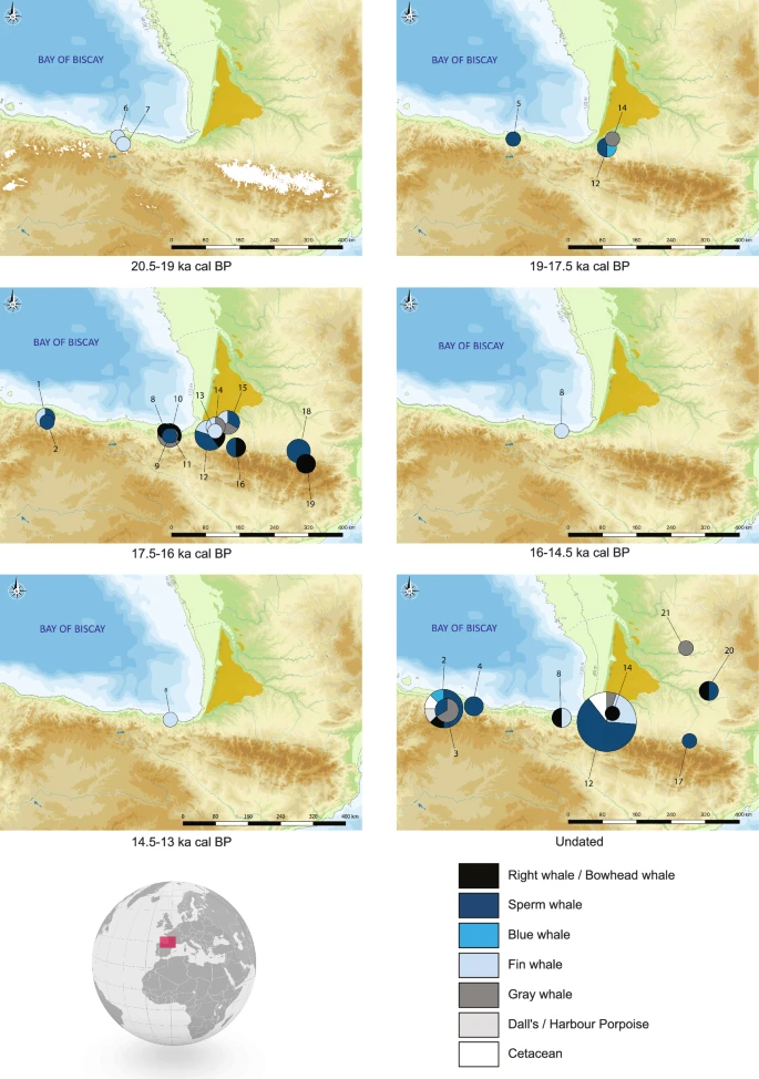 All the circles correspond to worked objects, except for site 8, which represents the set of unworked whalebone fragments from Santa Catalina. The size of the circles is proportional to the number of remains per site, except at Santa Catalina, where all the unworked remains are considered as one, so as not to overload the representation. The bathymetric data is from Natural Earth (www.naturalearthdata.com). The Sables des Landes region is shown in yellow. 1: La Paloma, 2: Las Caldas, 3: La Viña, 4: Tito Bustillo, 5: El Pendo, 6: El Juyo, 7: El Rascaño, 8: Santa Catalina, 9: Iruroin, 10: Ermittia, 11: Urtiaga, 12: Isturitz, 13: Bourrouilla, 14: Duruthy, 15: Brassempouy, 16: Saint-Michel, 17: Tuc d'Audoubert, 18: Mas d'Azil, 19: La Vache, 20: Courbet, 21: La Madeleine, 22: Andernach. Maps by AL.