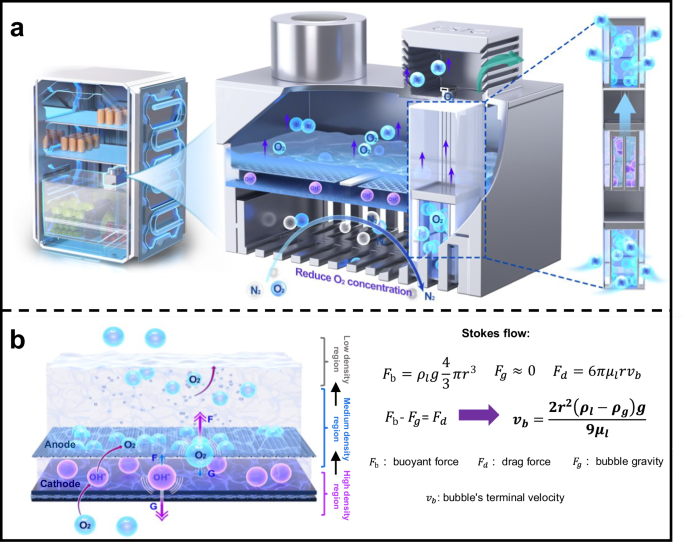 Fig. 1: Illustrates the gravity-assisted oxygen removal process.