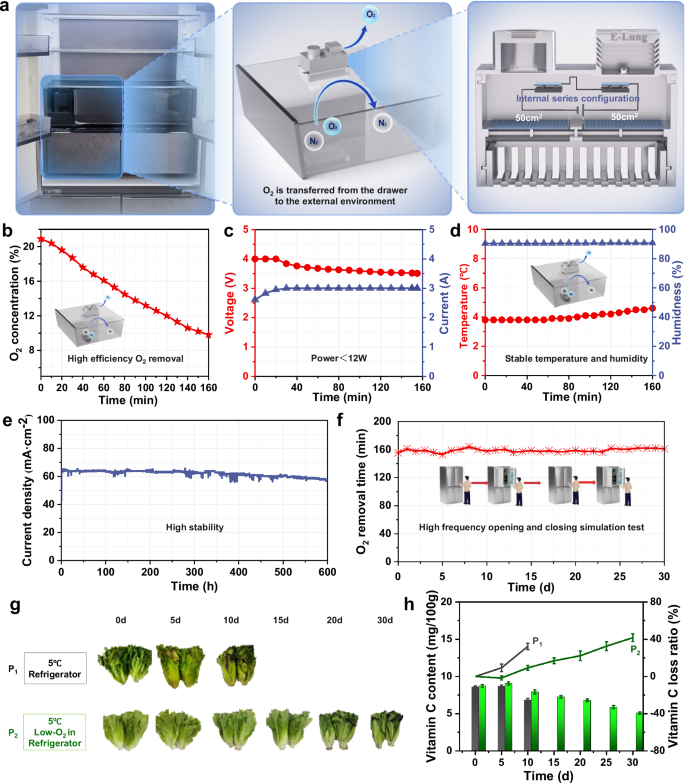 Fig. 5: Performance and evaluation of the two-cell series-connected reactor integrated into a refrigeration system for food preservation.