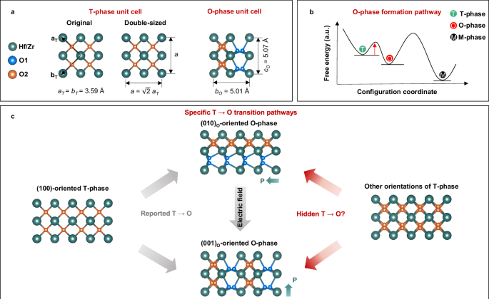 Fig. 1: Schematics of T-O transition pathways in Hf0.5Zr0.5O2 films.