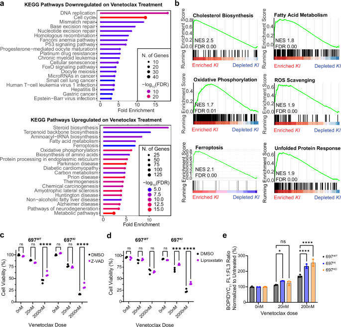 Fig. 4: Venetoclax induces ferroptotic cell death in CREBBP-mutated B-ALL cell lines.