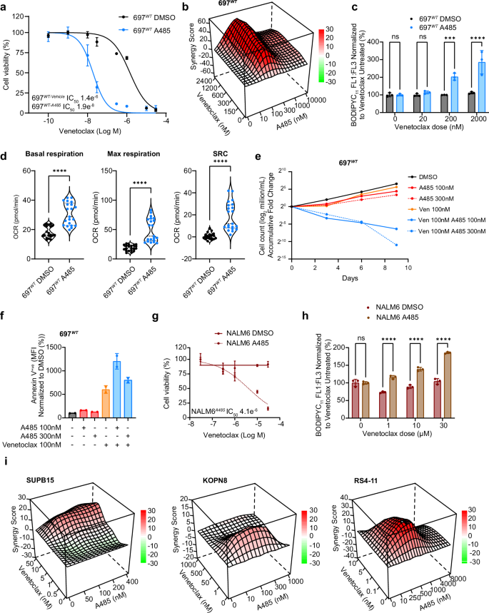 Fig. 8: Pharmacological inhibition of CREBBP function can sensitize B-ALL cell lines to Venetoclax in-vitro.