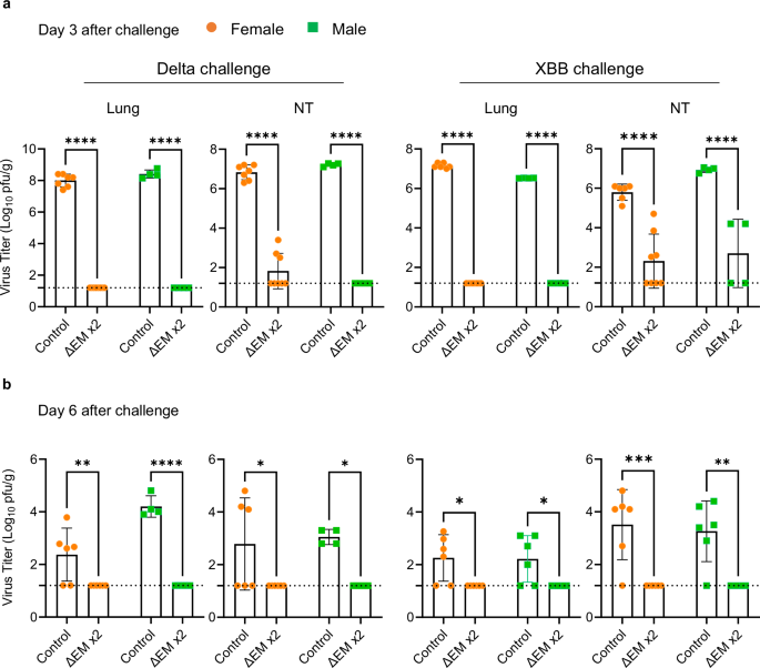 Fig. 4: Protective efficacy of ΔEM vaccination against SARS-CoV-2 variants in hamsters.