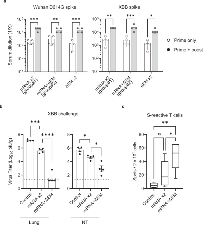 Fig. 6: Potential of the ΔEM vaccine candidate virus to serve as a booster vaccine in hamsters.