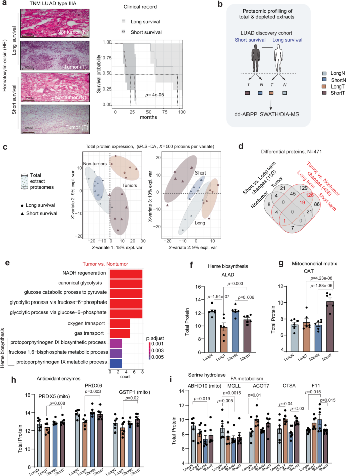 Fig. 2: Detection of LUAD tissue proteomes via dd-ABPP.