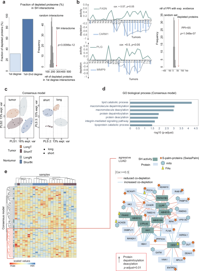Fig. 5: Functional links between catalytic enzymes and significantly often co-depleted proteins reveal differences in protein palmitoylation status in aggressive LUAD subtype.