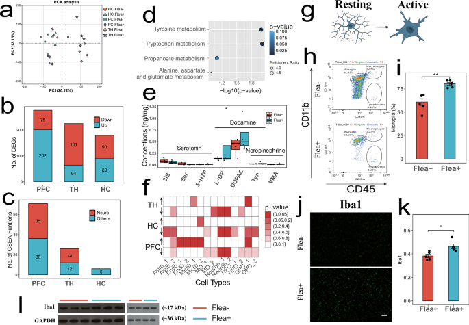 Fig. 3: Flea bites alter the expression patterns in the prefrontal cortex.