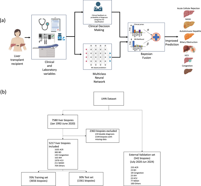 Fig. 1: Overall framework and study design.